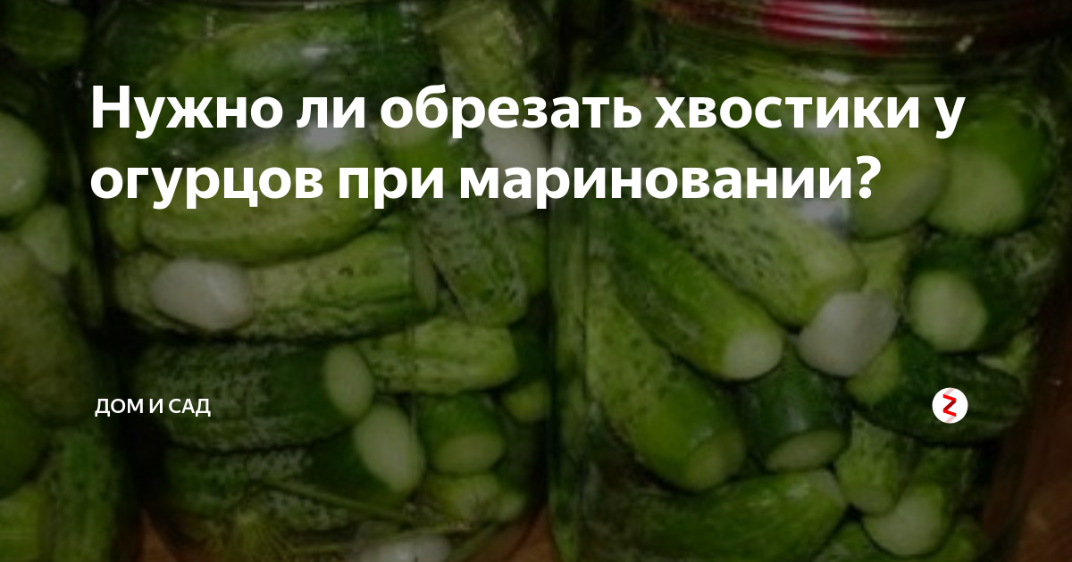 Польза и возможный вред огурцов при грудном вскармливании, свежие и солёные огурцы