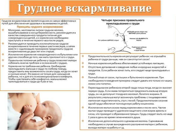 Почему летом нельзя бросать грудное вскармливание