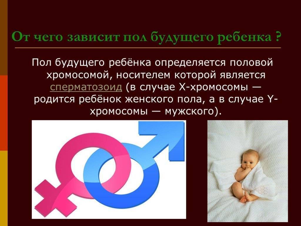 От каких хромосом зависит пол. От чего зависит пол ребенка. От чего зависит пол будущего ребенка. От кого зависит пол ребенка. Пол ребенка зависит от мужчины.
