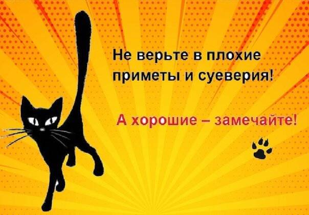 Стоит верить в приметы. Верить в приметы. Нужно ли верить в приметы. Верите ли вы в приметы.