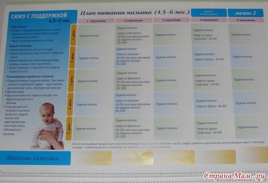 Что можно восьмимесячному ребенку: рацион питания для грудного и искусственного вскармливания