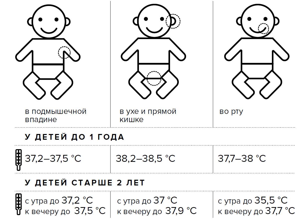 6 месяцев 37 5. Температура у новорожденного ребенка норма до 1 месяца. Нормальная температура тела у грудничков в 2. Норма температуры у грудничка в 2. Нормальная температура тела у грудничков в 2 месяца.