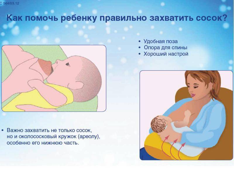 Как правильно кормить новорожденного грудным молоком: первое прикладывание, удобные позы, решение основных проблем