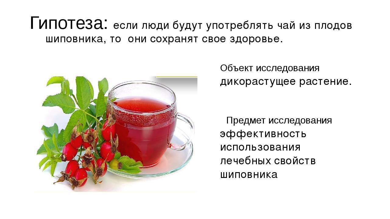 Чай при панкреатите: можно ли пить или нет – эл клиника