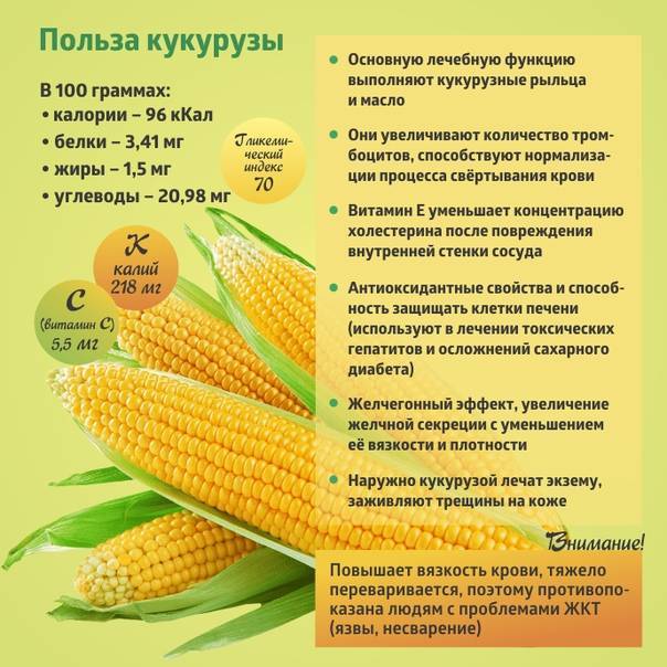 Кукуруза детям: с какого возраста давать? особенности введения и приготовления продукта  :: syl.ru