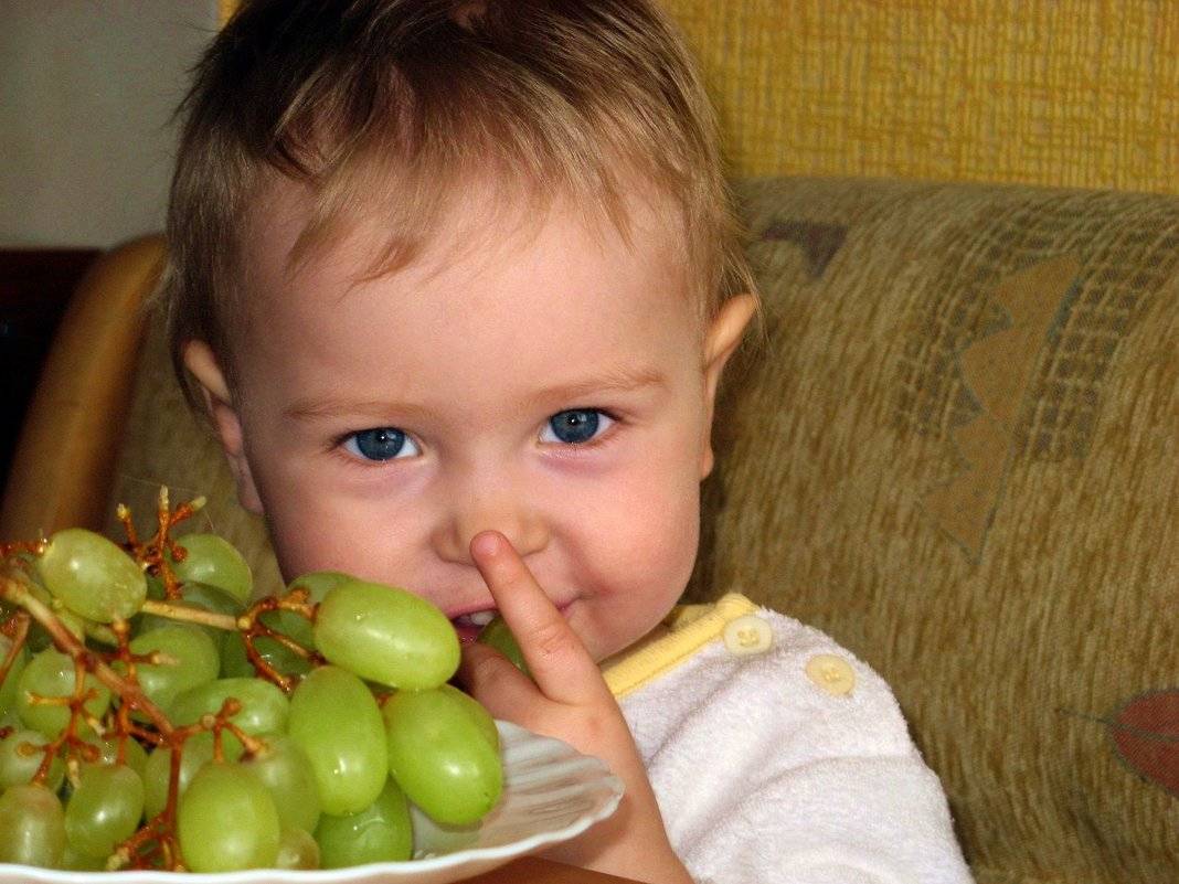 Когда детям можно давать виноград и виноградный сок?