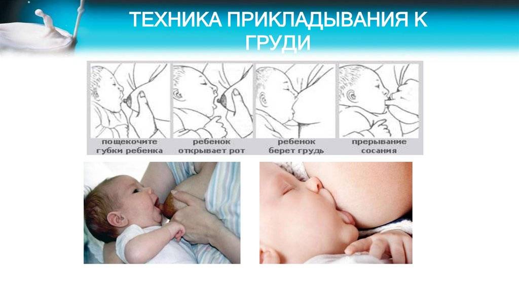 Секреты успешного грудного вскармливания. памятка для мам   | материнство - беременность, роды, питание, воспитание