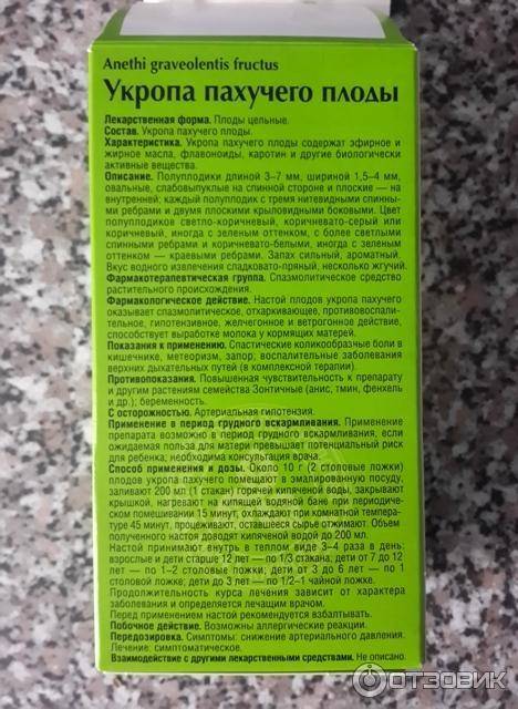 Можно ли укроп при грудном вскармливании?