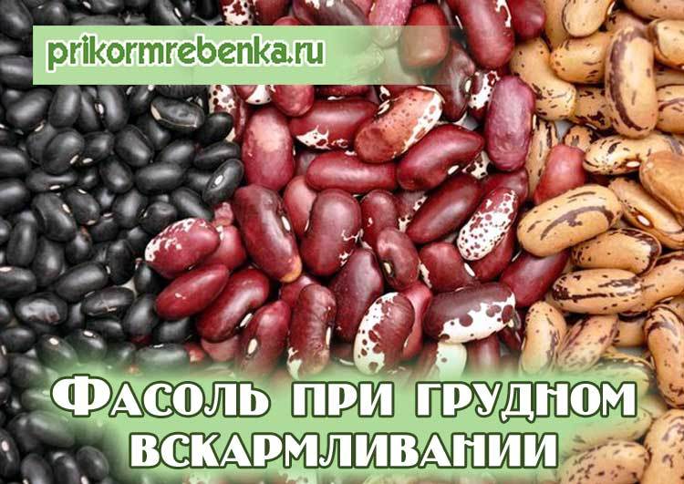 Можно ли фасоль при грудном вскармливании: польза и вред продукта для матери и ребенка при гв, а также рекомендации по употреблению бобового при лактации