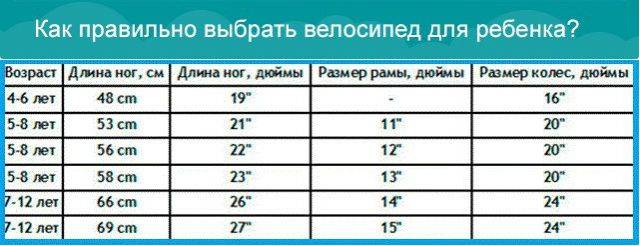 Рейтинг лучших детских велосипедов в 2024 году