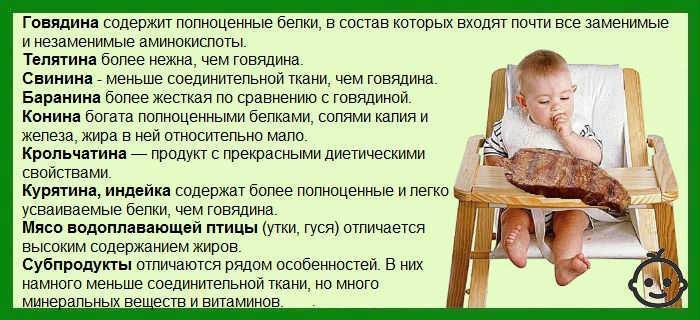 Свинина: польза и вред для организма | food and health