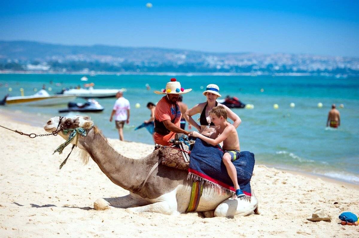 Куда поехать на море. Тунис. Тунис хфмаммет верблюд Жаклин. Тунис море. Тунис туризм.