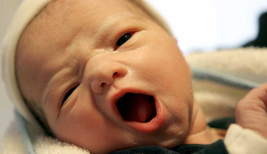 Стафилококк у новорожденных детей: лечение ребенка, симптомы, в носу, кале, горле, кишечнике