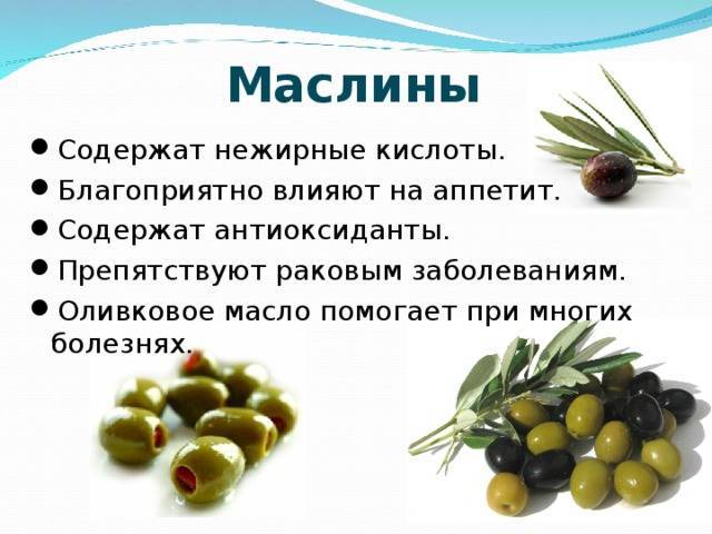 О полезных (и не очень) свойствах оливок и маслин для будущих мам