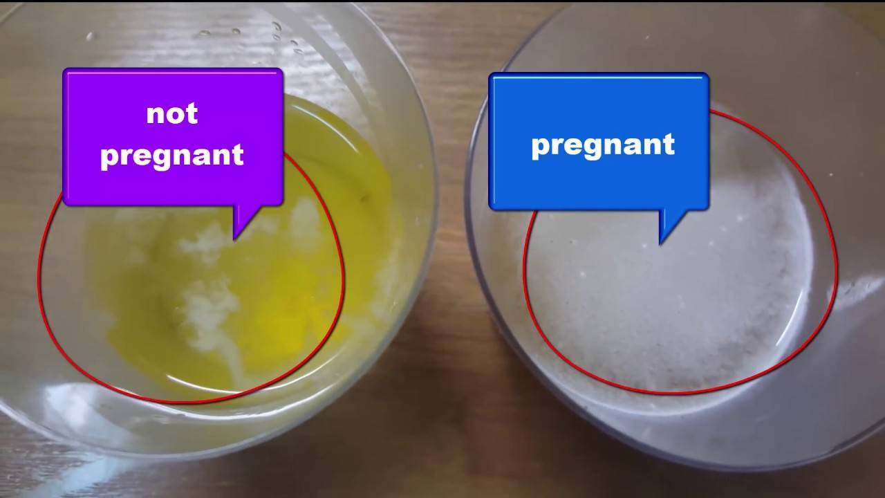 Тест на беременность с содой: правила проведения и достоверность / mama66.ru