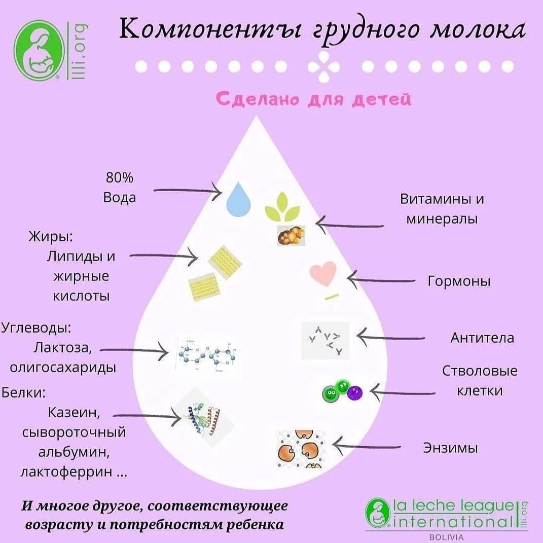 В чем польза грудного вскармливания?