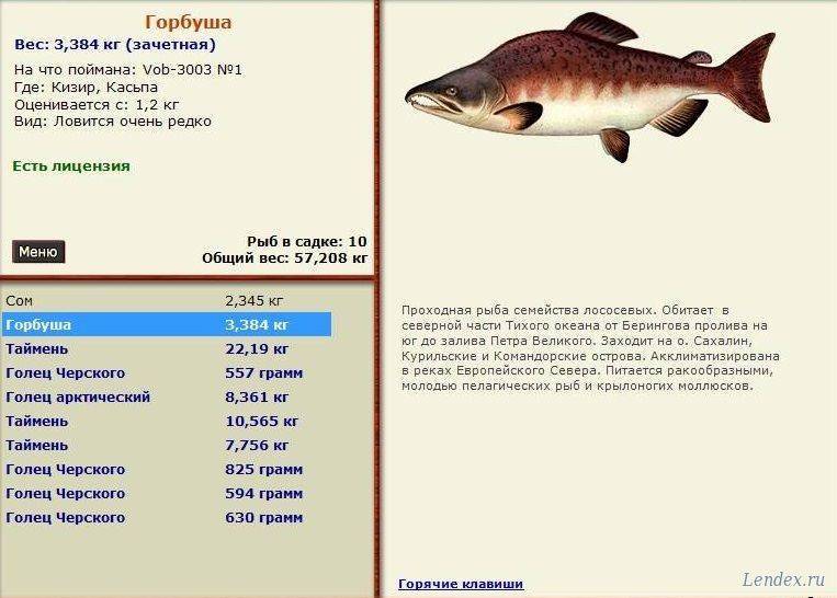 Горбушу можно детям. Горбуша детям с какого возраста. Горбуша детям с какого возраста можно давать. Какую рыбу можно ребенку в 1 год.