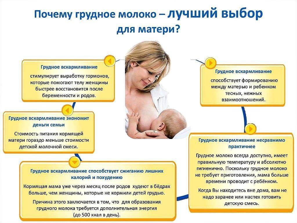 Питание ребенка в 1 год - советы по режиму и рациону первого года жизни