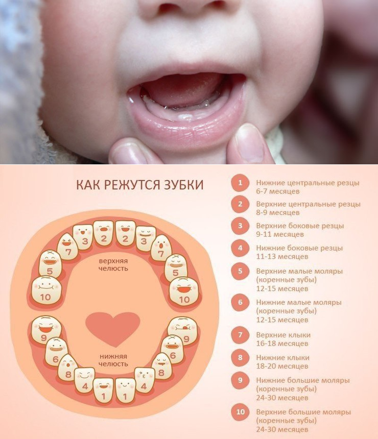 Рвота при прорезывании зубов у детей: норма или нет | colgate