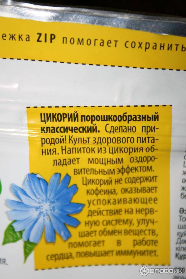 Свойства цикория и его польза. какой цикорий лучше и как правильно приготовить напиток из цикория?