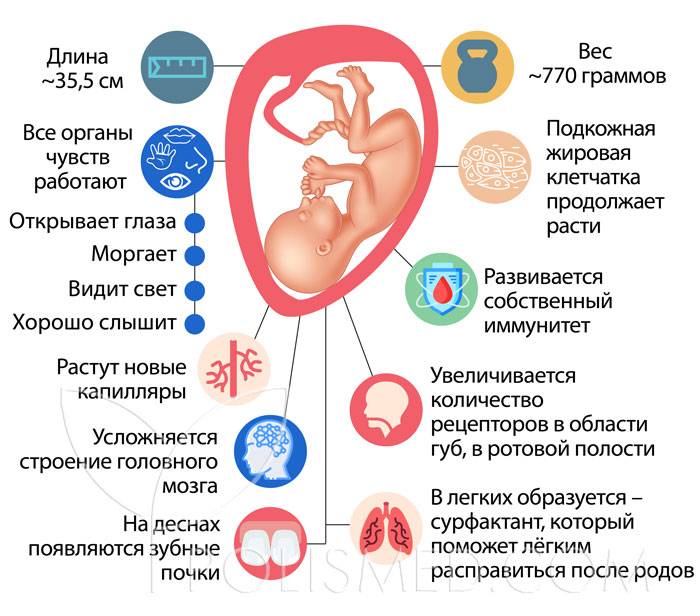 Температура при беременности: нормы, симптоматика, методы лечения