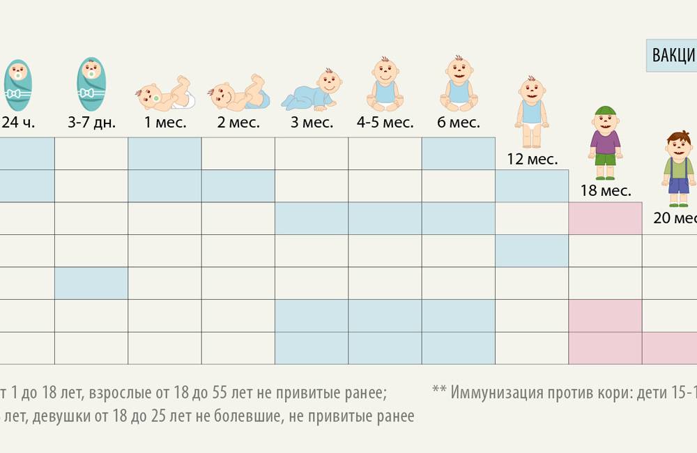 Вакцина в 1 год. График прививок детям от рождения до 12 месяцев. Календарь прививок таблица. График прививок для новорожденных по месяцам. График прививок для детей до 7 лет в России.
