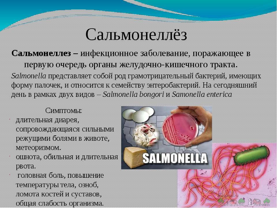 Отравление сальмонеллезом