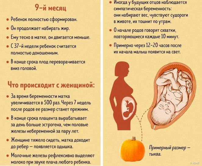 Ребенок икает в животе при беременности: причина, что делать, опасно ли
