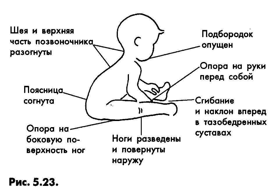 Во сколько месяцев можно сажать девочек и как правильно это делать
