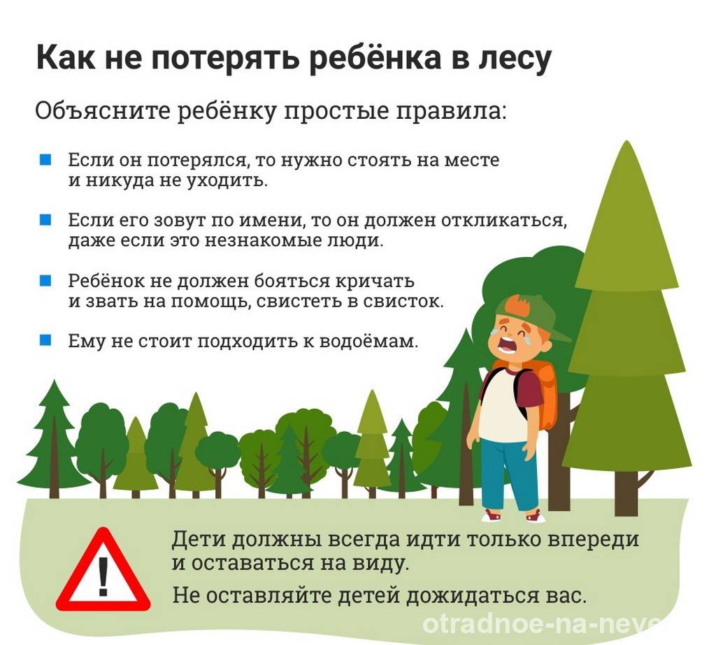Что делать, если заблудился в лесу: памятка для детей и взрослых