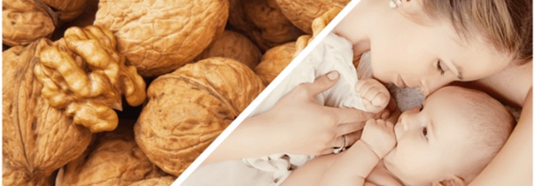 Можно ли есть грецкие орехи при грудном вскармливании новорожденного?