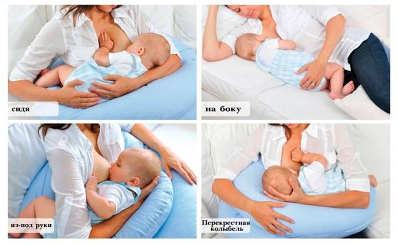 Как правильно держать новорожденных столбиком, при подмывании, купании, после кормления, на руках