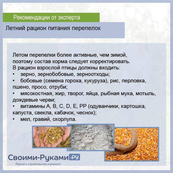 С какого возраста можно давать ребенку перловку и как правильно приготовить кашу