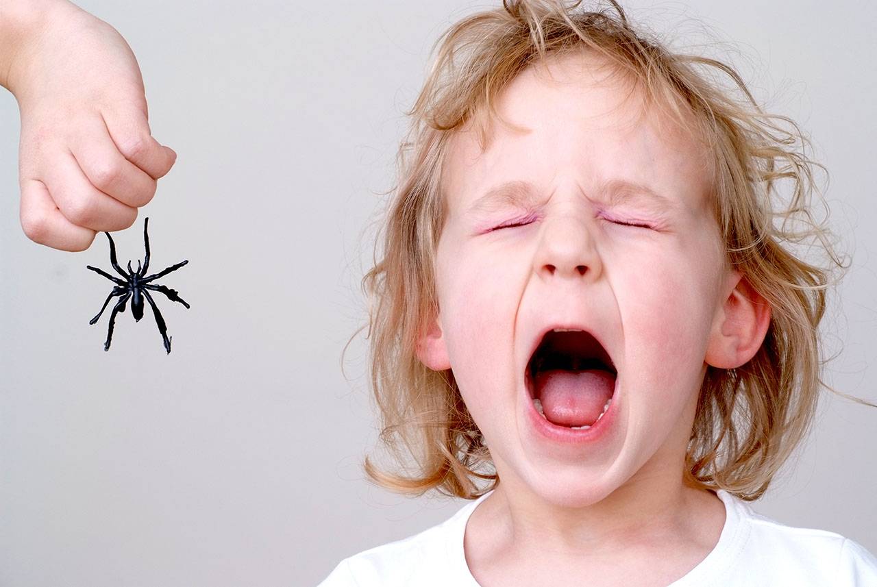 Как перестать бояться насекомых подростку. я боюсь насекомых. «я постаралась приручить свой страх»