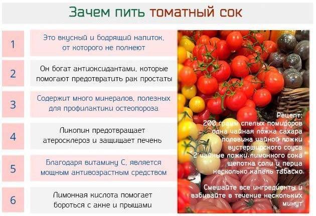 Собираем семена томатов – что нужно знать / асиенда.ру