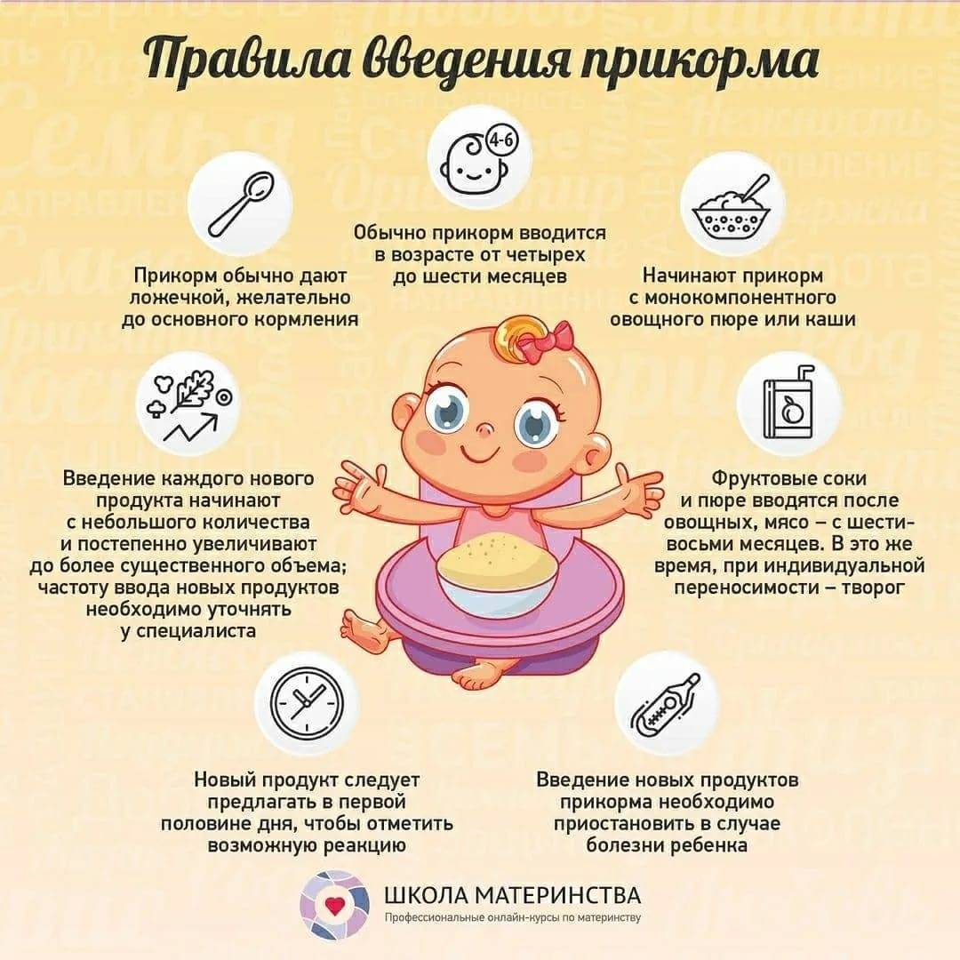 Развитие ребенка в 6 месяцев: все, что нужно знать родителям о способностях и навыках