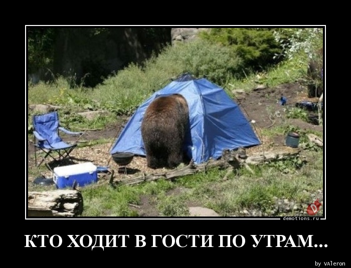 Как вести себя в гостях: правила и советы