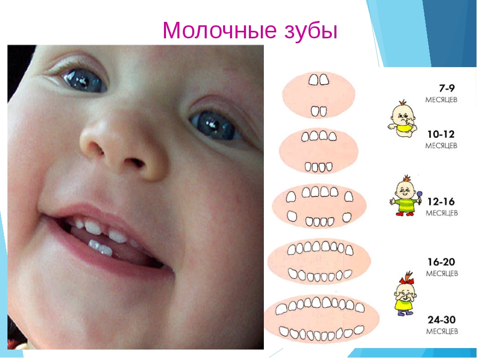 Когда начинают резаться зубки?