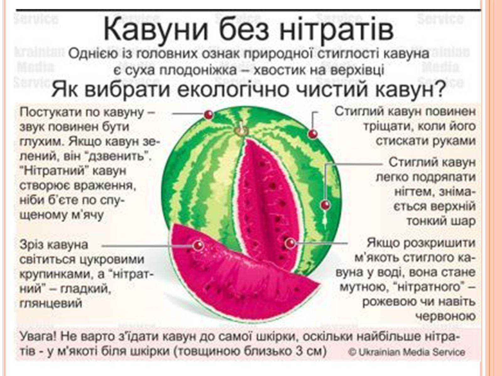 Можно ли есть арбуз при отравлении. Нитратный Арбуз. Как определить нитратный Арбуз. Определяем нитраты в арбузе. Нитратный Арбуз признаки.