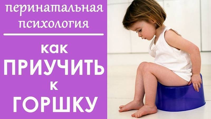 Как не навредить малышу ранним знакомством с навыками гигиены: подробный перечень признаков психо-физиологической готовности ребёнка к отучению от памперсов