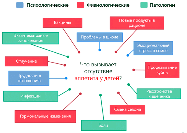Отсутствие аппетита у ребенка причины снижения чувства голода