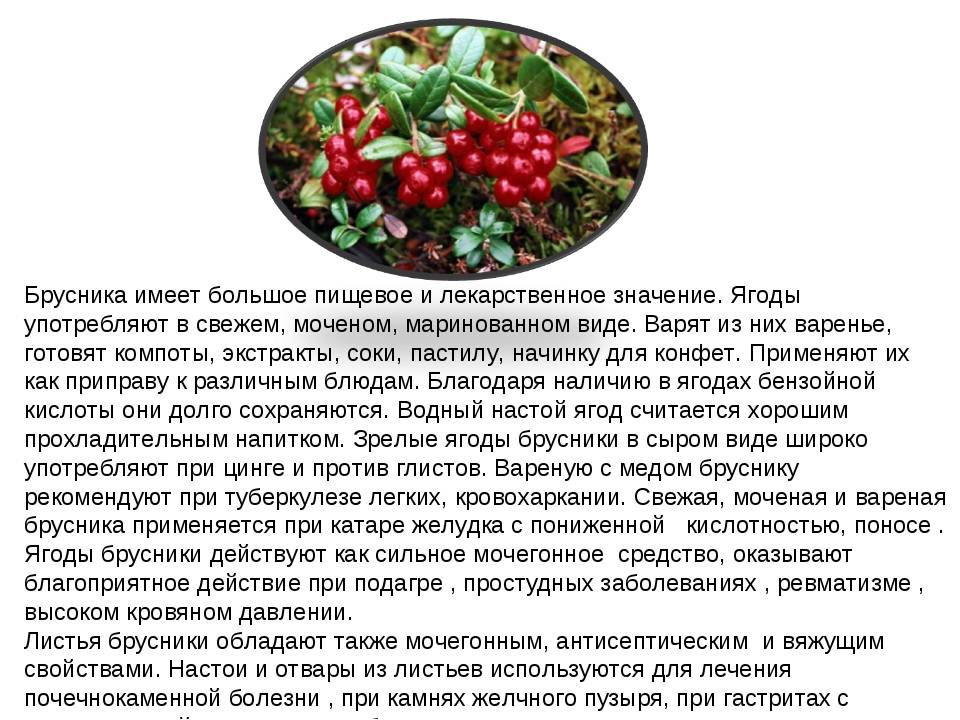 Лечение простуды при грудном вскармливании