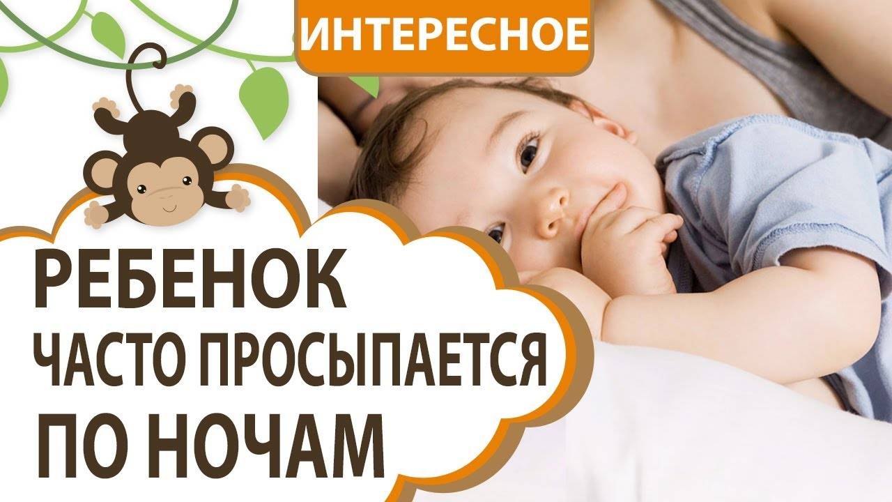 Часто просыпается ночью 5 месяцев