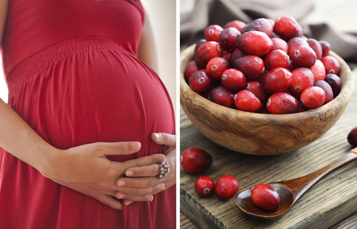 Будущим мамам: польза брусники при беременности