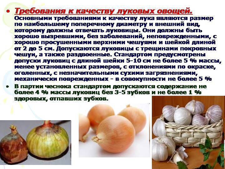 Чеснок детям