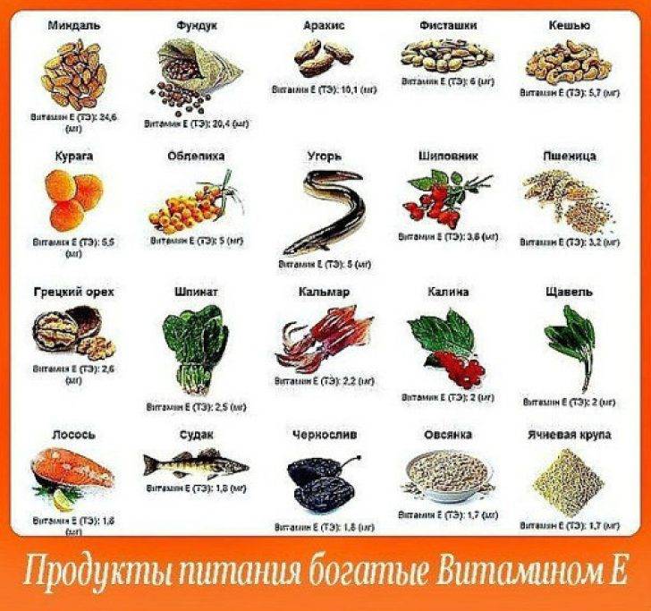 В каких продуктах содержится витамин е