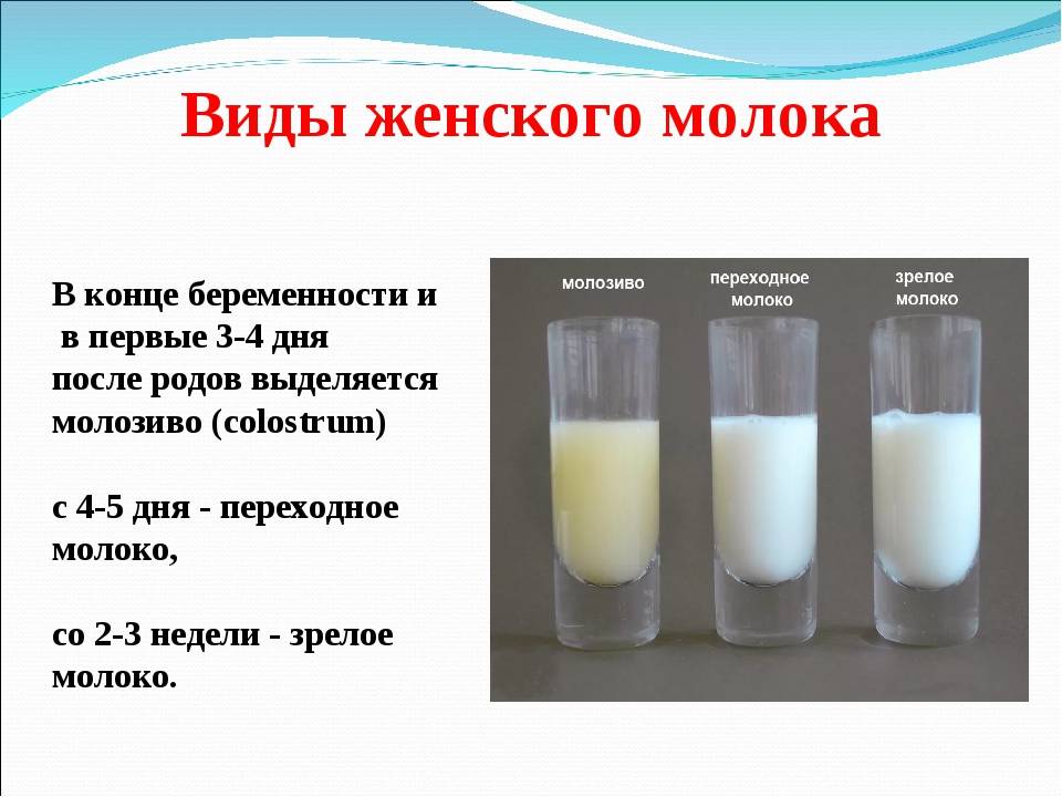 "переднее" и "заднее" грудное молоко: как правильно кормить?