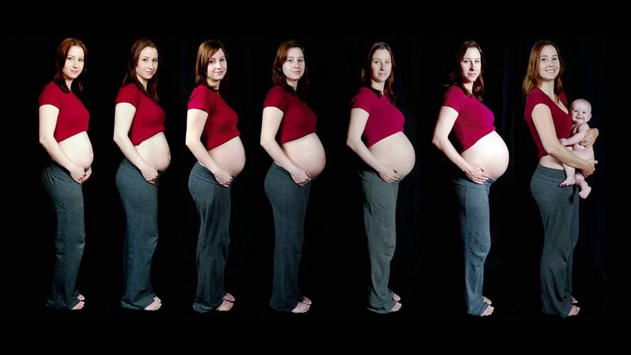 На каком сроке беременности начинает расти живот? скорость роста по триместрам
 - spuzom.com