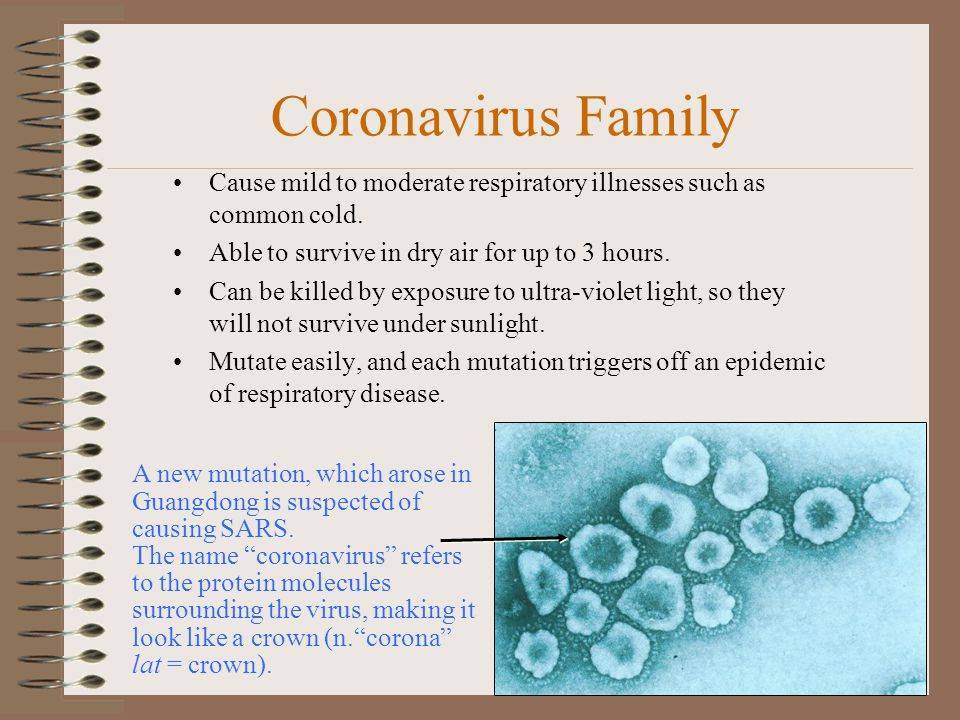 Грудное вскармливание при коронавирусе у мамы: допустимо ли, нюансы лечения в ситуации