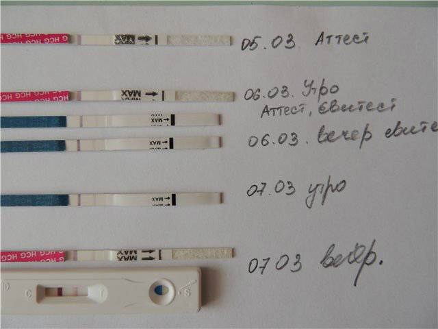 Причины розовых выделений при беременности на ранних сроках | merilin-clinic.ru